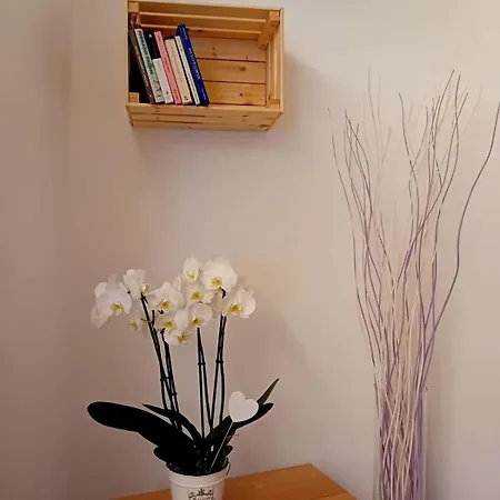 Daire Casa Longhi Orta San Giulio